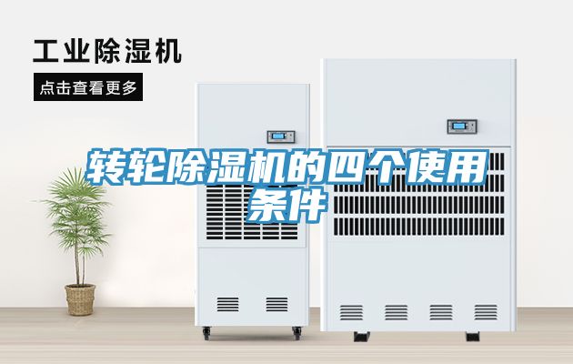 轉輪91看片软件大全的四個使用條件
