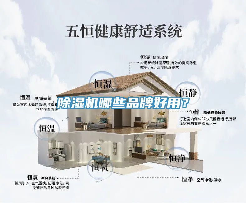 91看片软件大全哪些品牌好用？