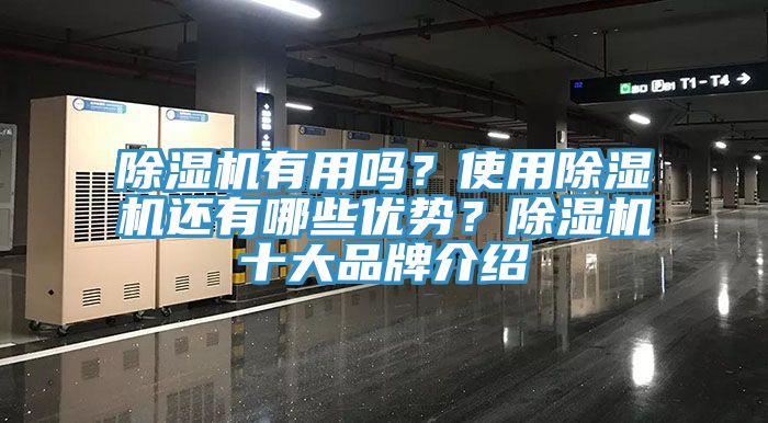 91看片软件大全有用嗎？使用91看片软件大全還有哪些優勢？91看片软件大全十大品牌介紹