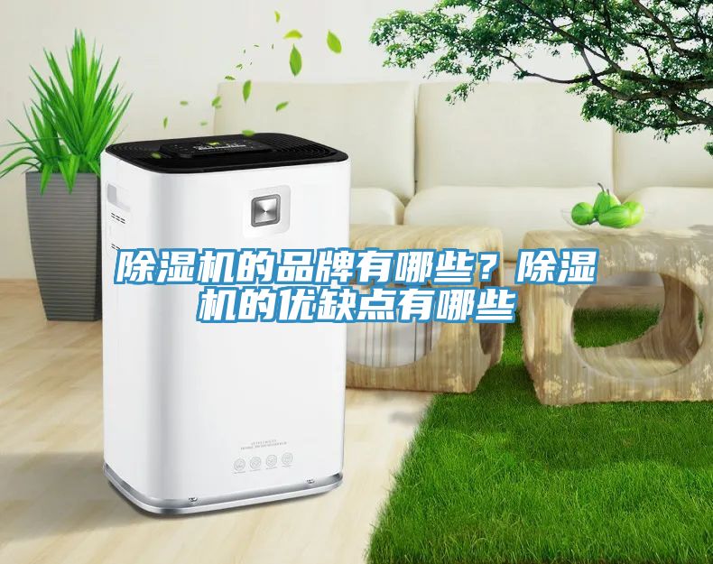91看片软件大全的品牌有哪些？91看片软件大全的優缺點有哪些