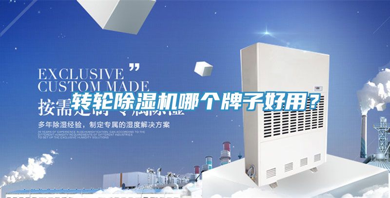 轉輪91看片软件大全哪個牌子好用？