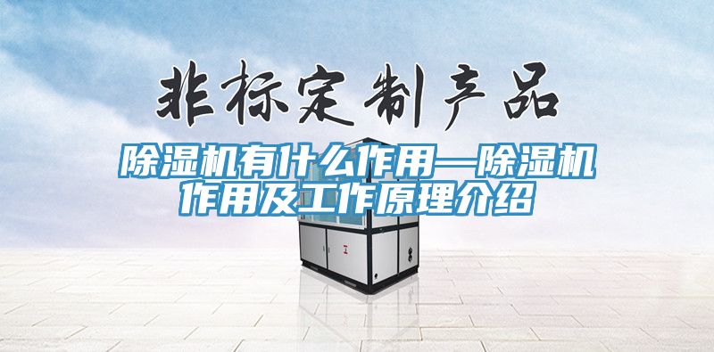 91看片软件大全有什麽作用—91看片软件大全作用及工作原理介紹