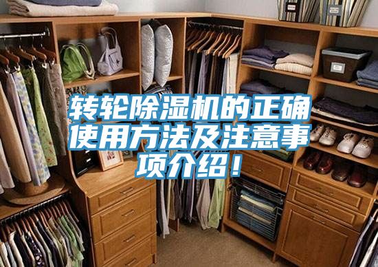 轉輪91看片软件大全的正確使用方法及注意事項介紹！