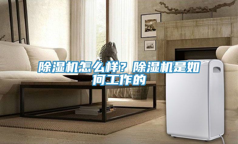 91看片软件大全怎麽樣？91看片软件大全是如何工作的