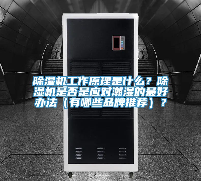 91看片软件大全工作原理是什麽？91看片软件大全是否是應對潮濕的最好辦法（有哪些品牌推薦）？