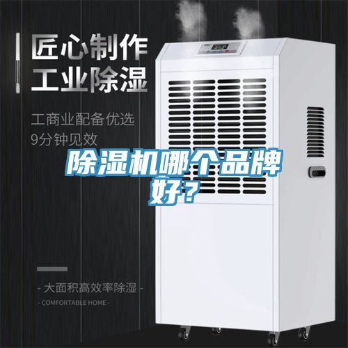91看片软件大全哪個品牌好？