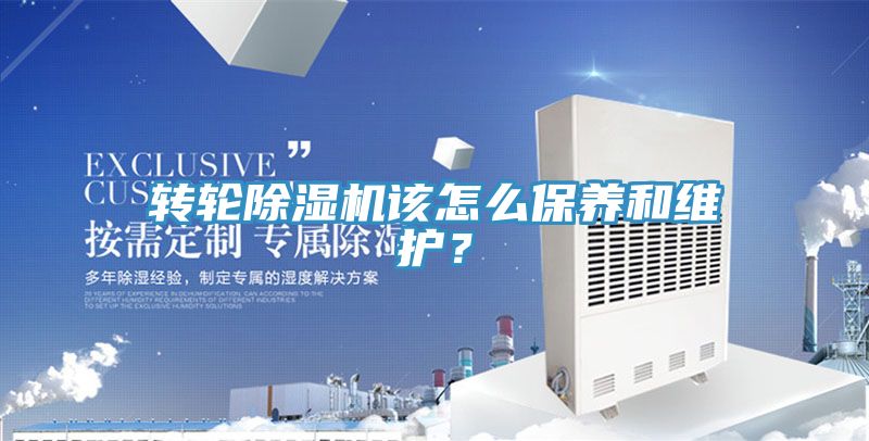 轉輪91看片软件大全該怎麽保養和維護？