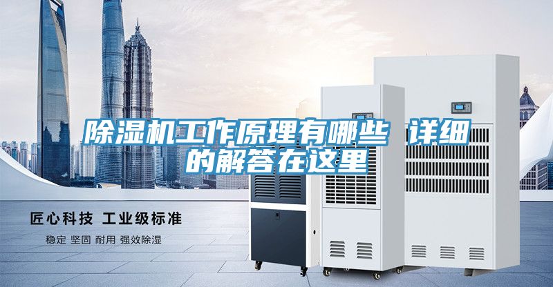 91看片软件大全工作原理有哪些 詳細的解答在這裏