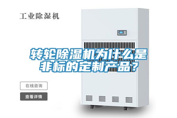 轉輪91看片软件大全為什麽是非標的定製產品？