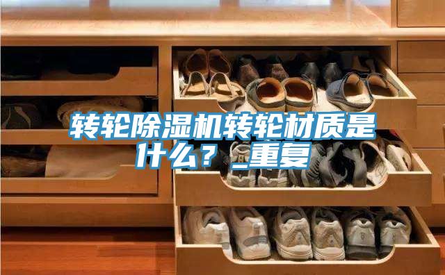 轉輪91看片软件大全轉輪材質是什麽？_重複