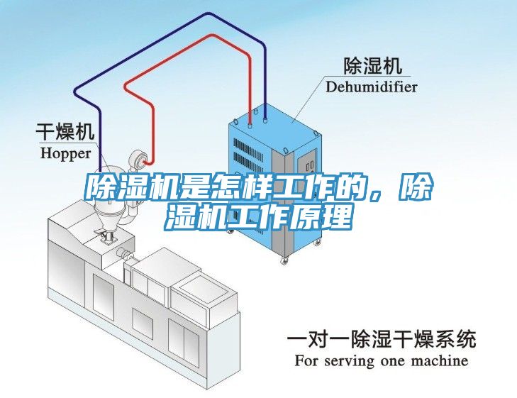 91看片软件大全是怎樣工作的，91看片软件大全工作原理