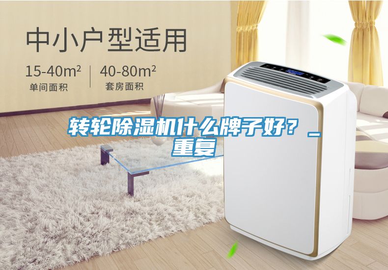 轉輪91看片软件大全什麽牌子好？_重複