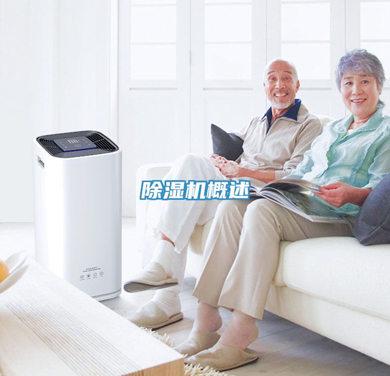 91看片软件大全概述