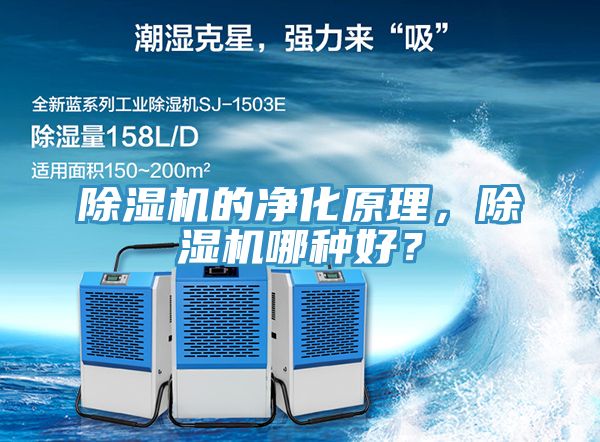 91看片软件大全的淨化原理，91看片软件大全哪種好？
