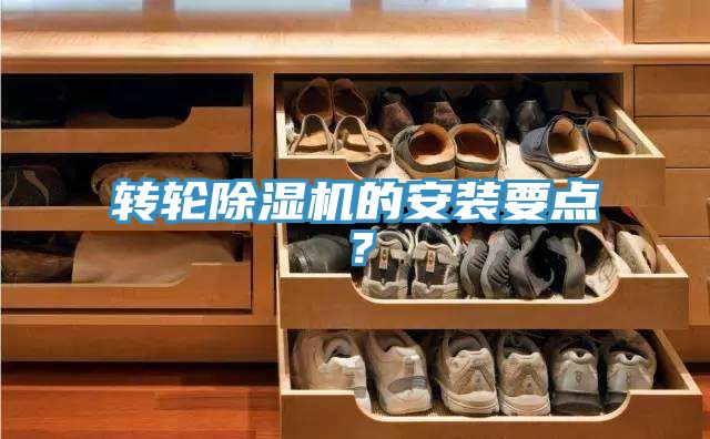 轉輪91看片软件大全的安裝要點？