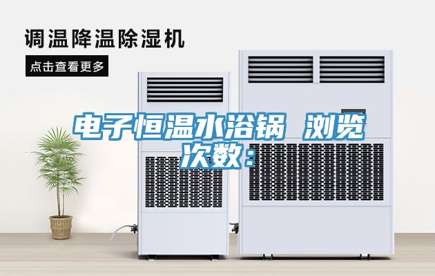 電子恒溫水浴鍋　　瀏覽次數：