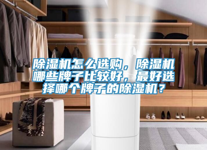 91看片软件大全怎麽選購，91看片软件大全哪些牌子比較好，最好選擇哪個牌子的91看片软件大全？