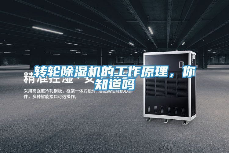 轉輪91看片软件大全的工作原理，你知道嗎