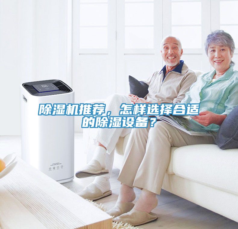 91看片软件大全推薦，怎樣選擇合適的除濕設備？