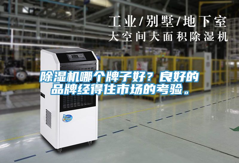 91看片软件大全哪個牌子好？良好的品牌經得住市場的考驗。