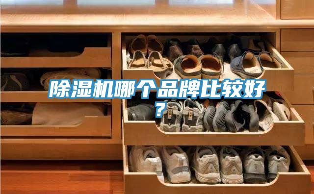 91看片软件大全哪個品牌比較好？