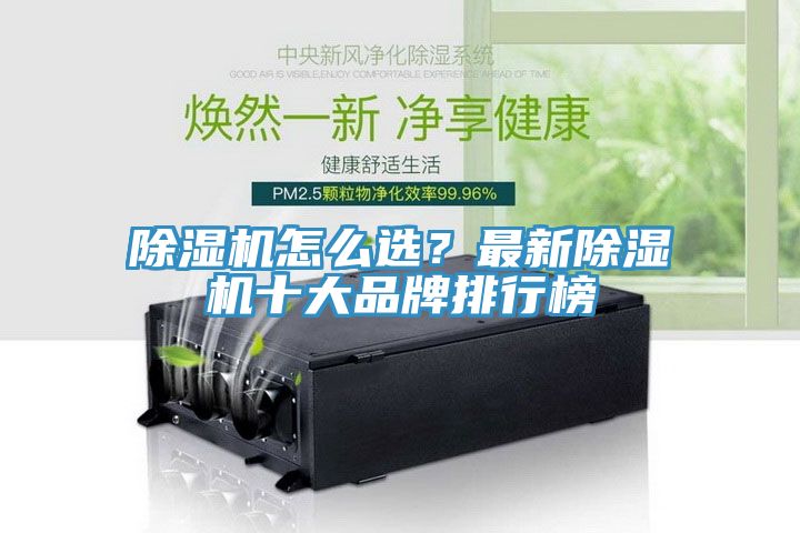 91看片软件大全怎麽選？最新91看片软件大全十大品牌排行榜