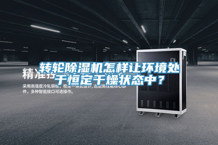 轉輪91看片软件大全怎樣讓環境處於恒定幹燥狀態中？