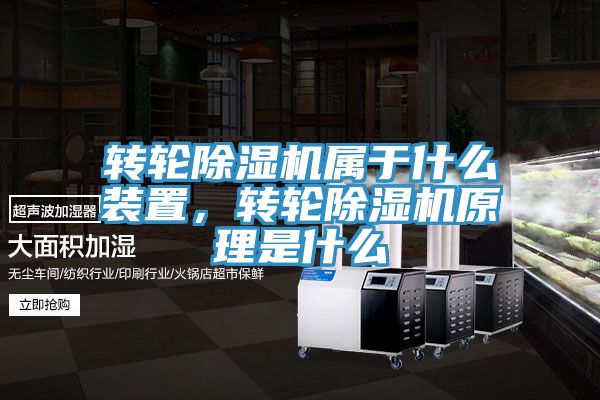 轉輪91看片软件大全屬於什麽裝置，轉輪91看片软件大全原理是什麽