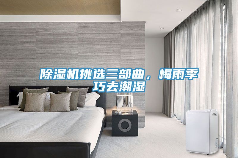 91看片软件大全挑選三部曲，梅雨季巧去潮濕