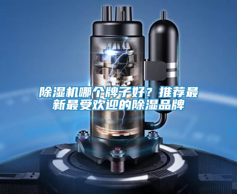 91看片软件大全哪個牌子好？推薦最新最受歡迎的除濕品牌