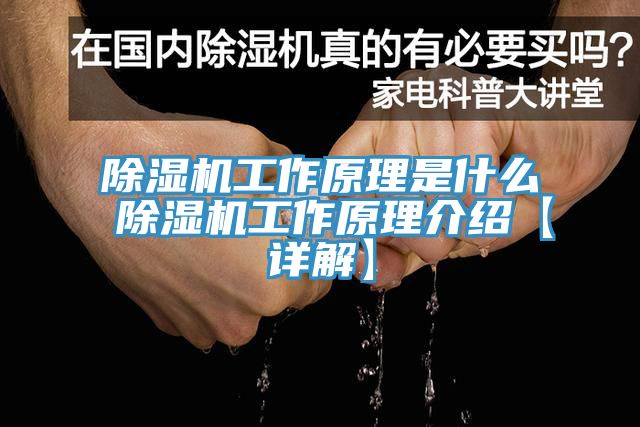 91看片软件大全工作原理是什麽 91看片软件大全工作原理介紹【詳解】