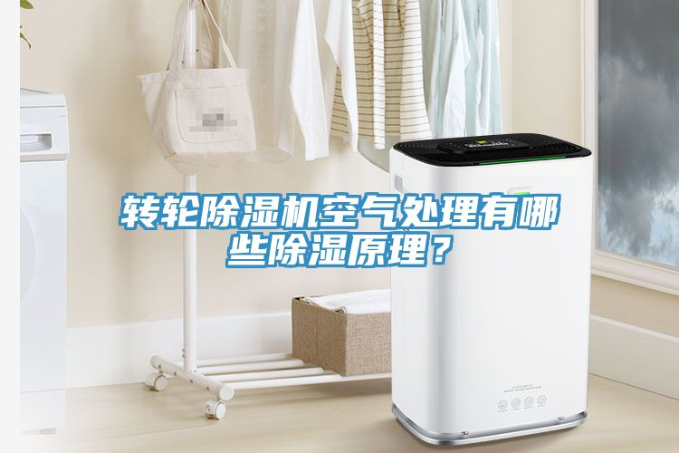 轉輪91看片软件大全空氣處理有哪些除濕原理？