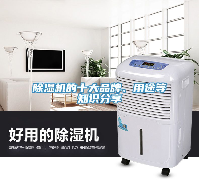 91看片软件大全的十大品牌、用途等知識分享