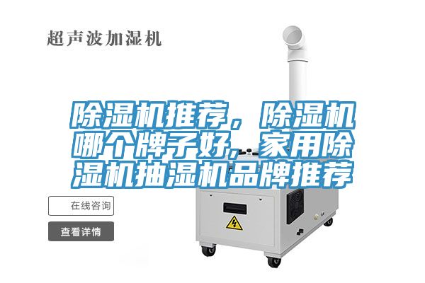 91看片软件大全推薦，91看片软件大全哪個牌子好, 家用91看片软件大全抽濕機品牌推薦