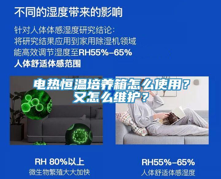 電熱恒溫培養箱怎麽使用？又怎麽維護？