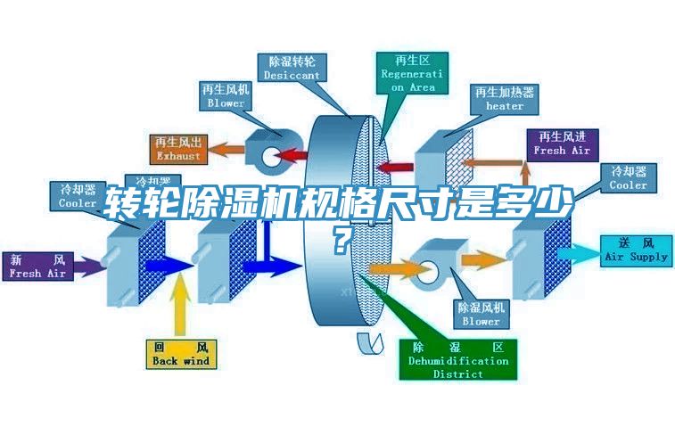 轉輪91看片软件大全規格尺寸是多少？