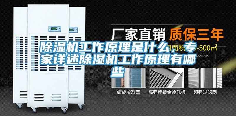 91看片软件大全工作原理是什麽，專家詳述91看片软件大全工作原理有哪些