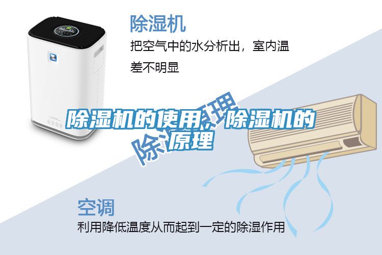 91看片软件大全的使用，91看片软件大全的原理