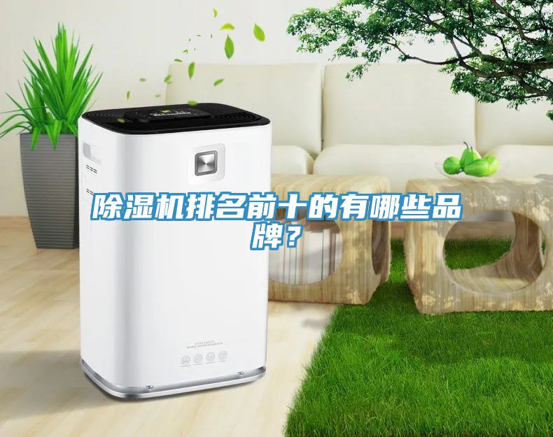 91看片软件大全排名前十的有哪些品牌？