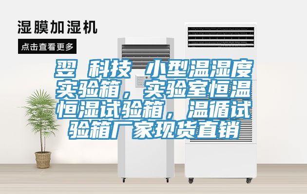 翌昇科技 小型溫濕度實驗箱，實驗室恒溫恒濕試驗箱，溫循試驗箱廠家現貨直銷