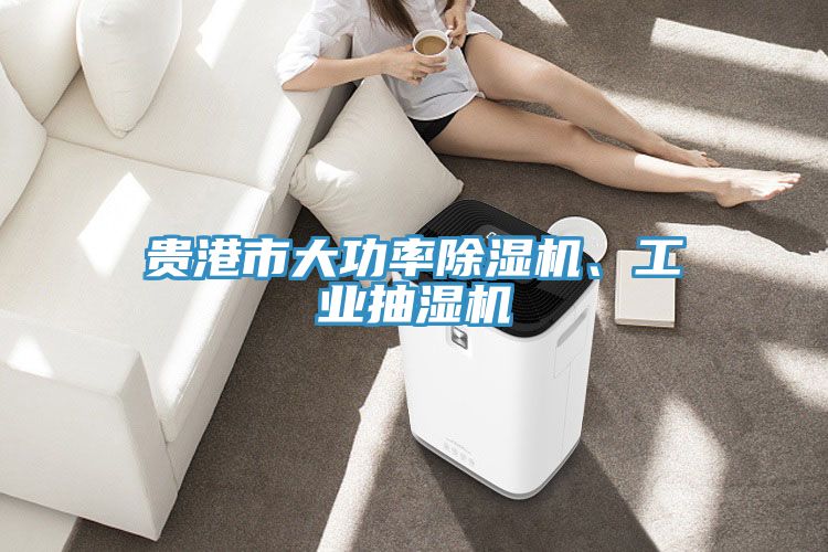 貴港市大功率91看片软件大全、工業抽濕機