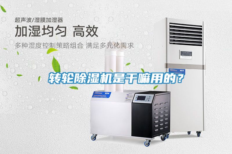 轉輪91看片软件大全是幹嘛用的？