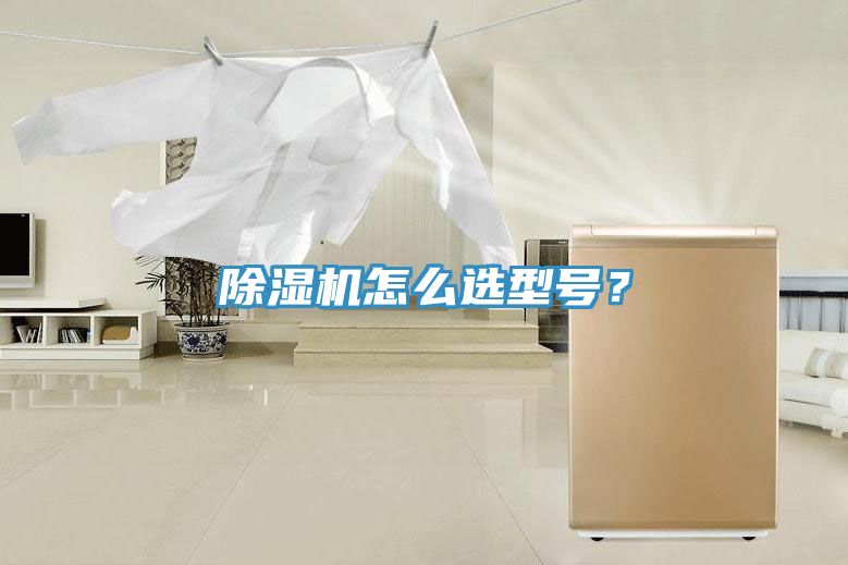 91看片软件大全怎麽選型號？