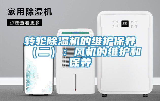 轉輪91看片软件大全的維護保養（二）：風機的維護和保養