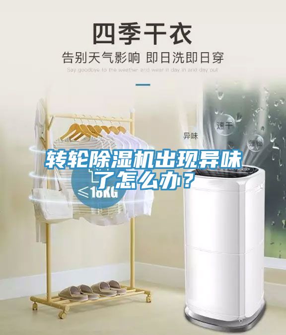 轉輪91看片软件大全出現異味了怎麽辦？