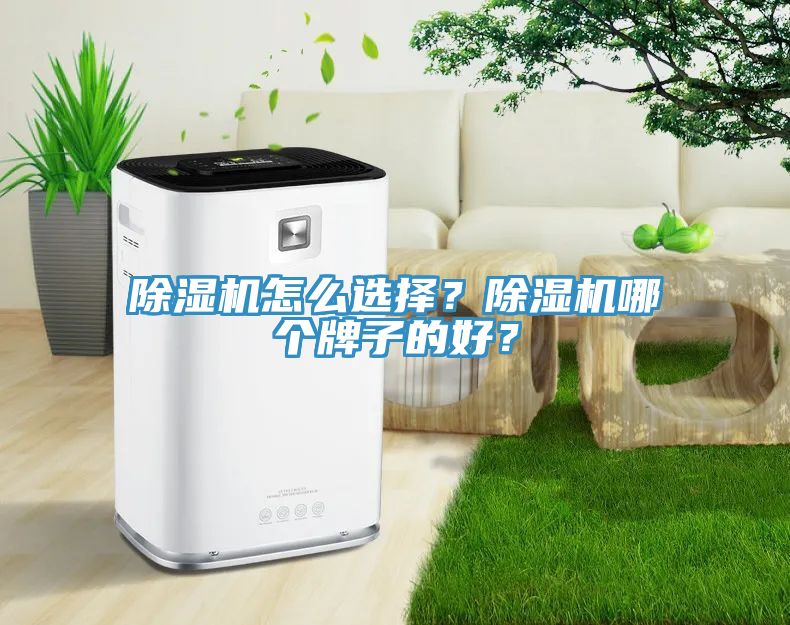 91看片软件大全怎麽選擇？91看片软件大全哪個牌子的好？