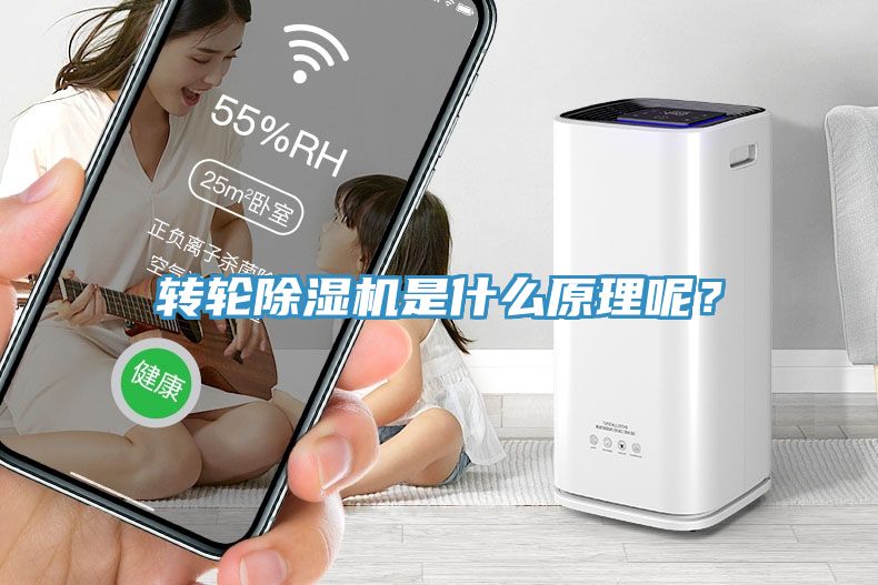 轉輪91看片软件大全是什麽原理呢？
