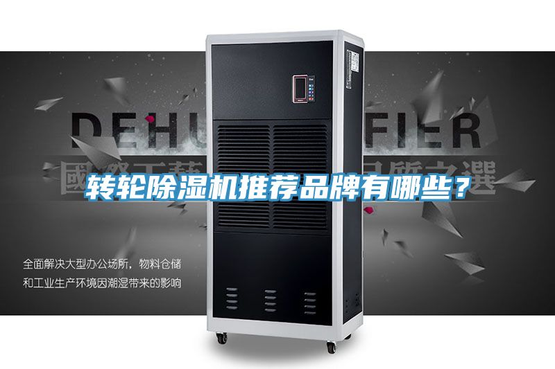 轉輪91看片软件大全推薦品牌有哪些？