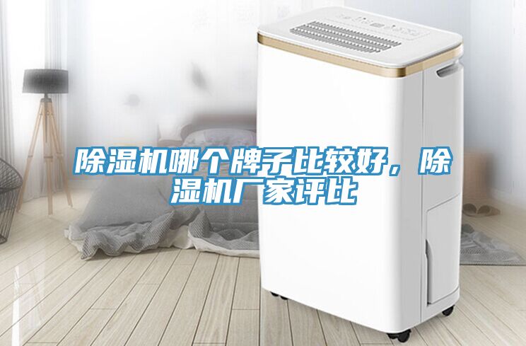 91看片软件大全哪個牌子比較好，91看片软件大全廠家評比