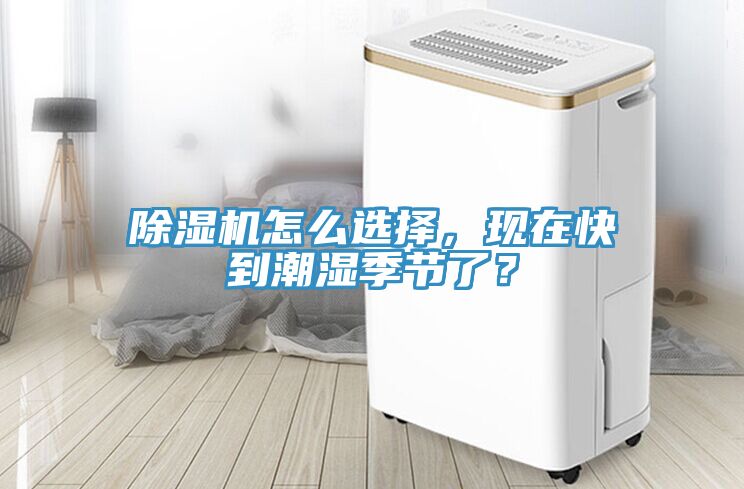 91看片软件大全怎麽選擇，現在快到潮濕季節了？